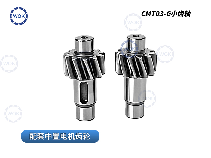 CMT03-G小齒軸